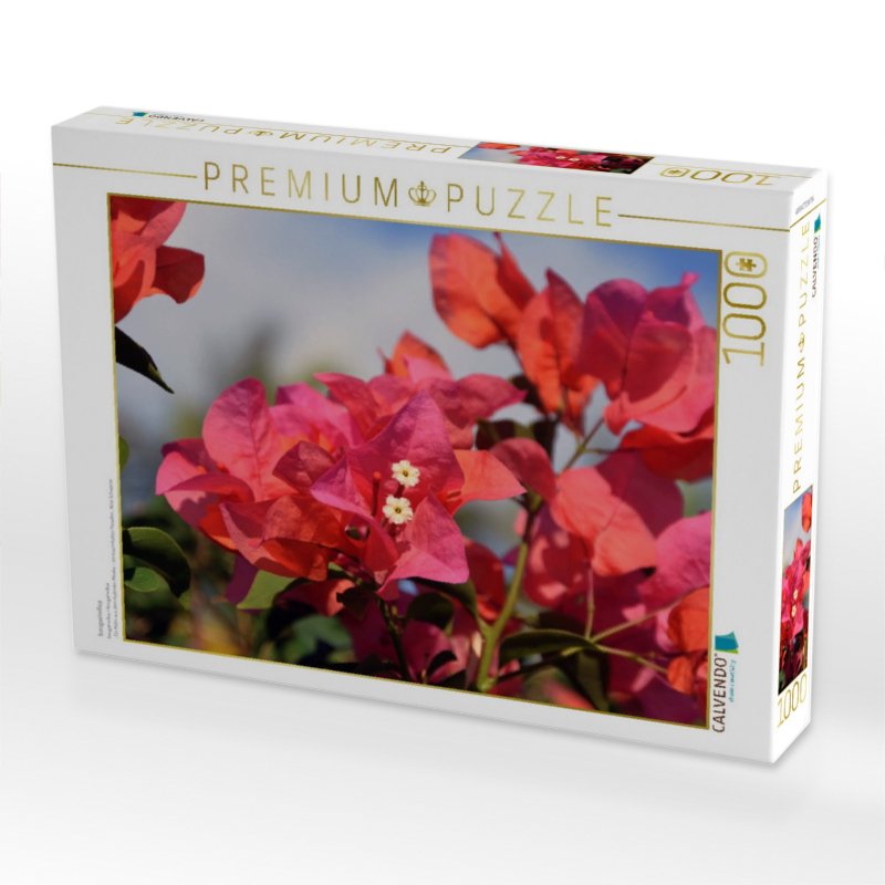 bougainvillea