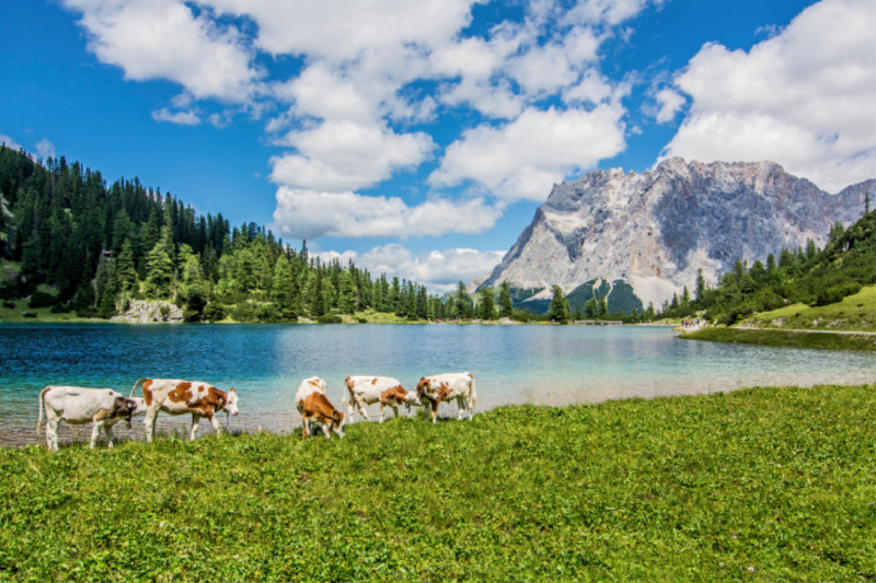 Blick über den Seebensee zur Zugspitze