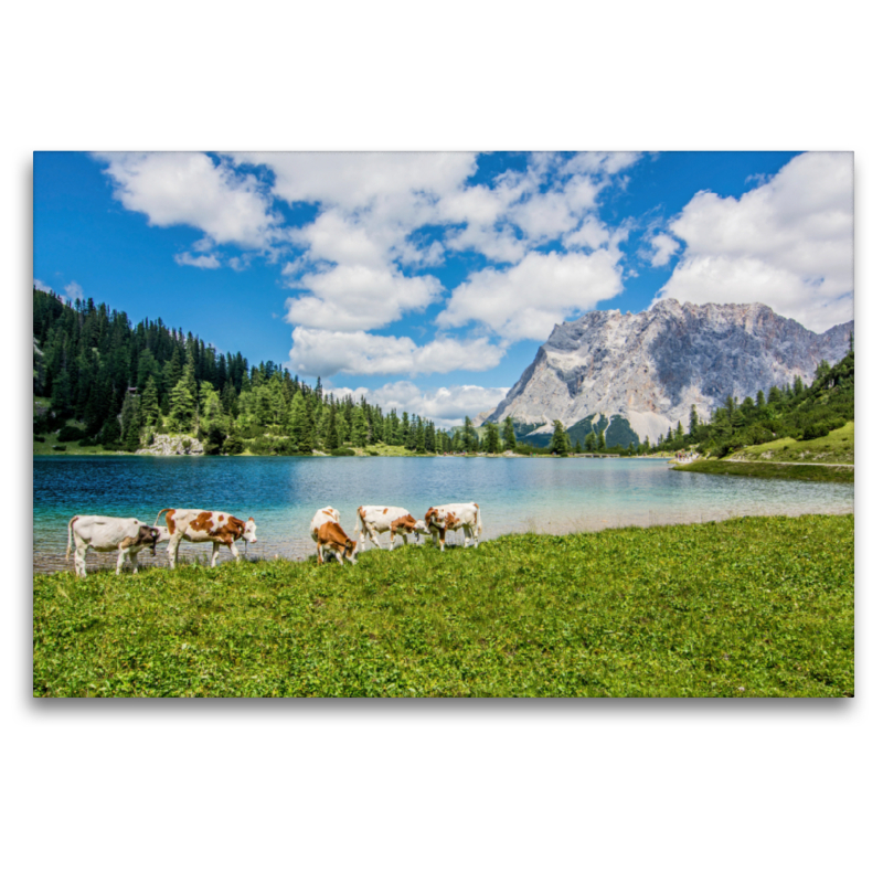 Blick über den Seebensee zur Zugspitze