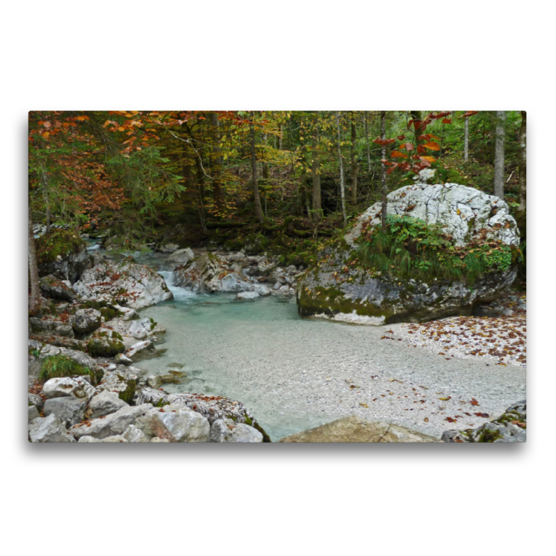 Im Zauberwald am Hintersee im Berchtesgadener Land