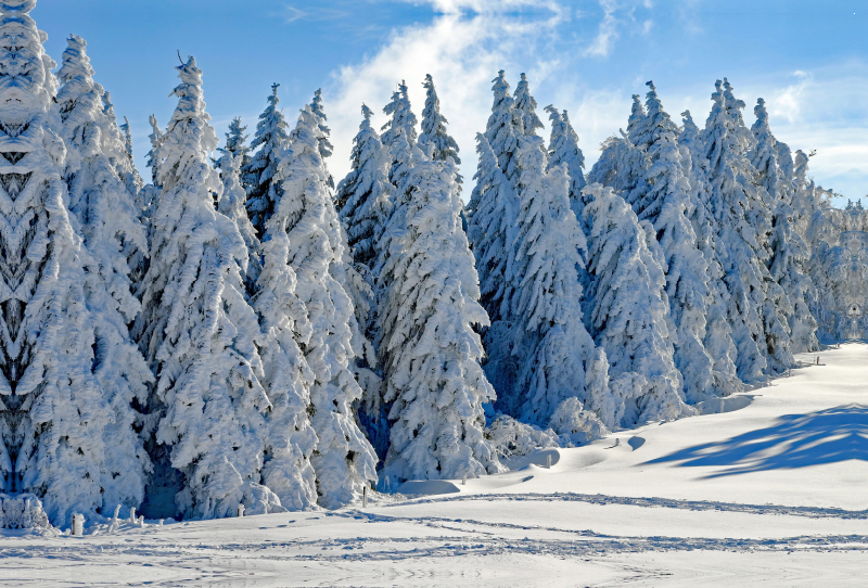 Ein Motiv aus dem Kalender Winter. Zauberhafte Schneelandschaften