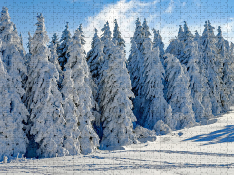 Ein Motiv aus dem Kalender Winter. Zauberhafte Schneelandschaften