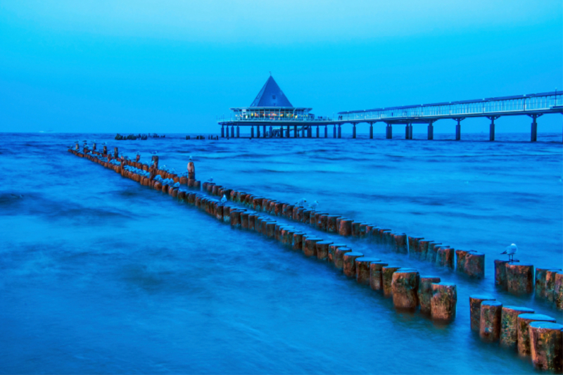 Möwen zur blauen Stunde an der Seebrücke Heringsdorf