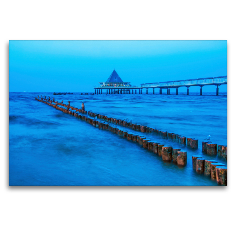 Möwen zur blauen Stunde an der Seebrücke Heringsdorf