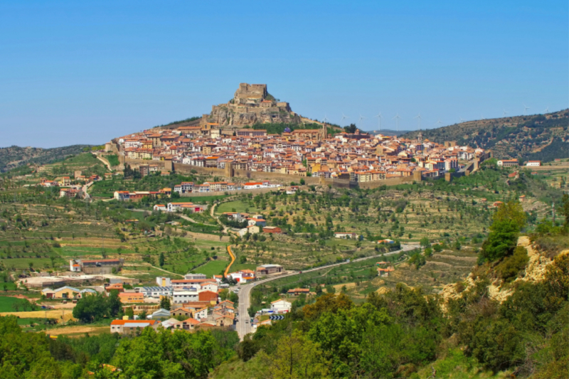 Morella