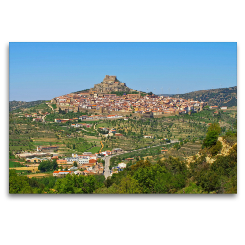 Morella