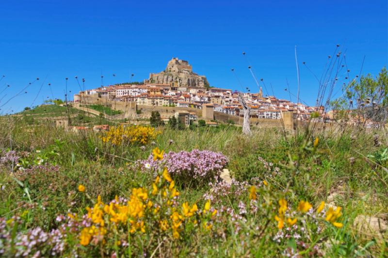 Ein Motiv aus dem Kalender Morella - Ausflug ins spanische Mittelalter