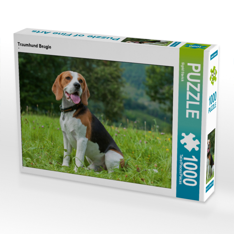 Traumhund Beagle