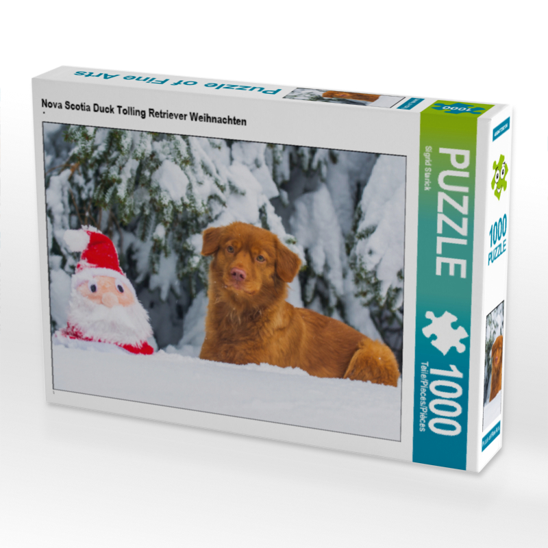 Nova Scotia Duck Tolling Retriever Weihnachten