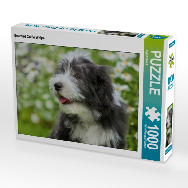 Bearded Collie Welpe