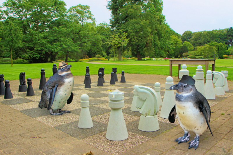 Schach im Stadtpark (Großvater P. genießt den Ruhestand)