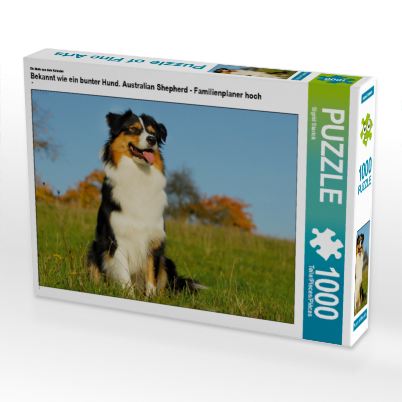 Ein Motiv aus dem Kalender Bekannt wie ein bunter Hund. Australian Shepherd - Familienplaner hoch