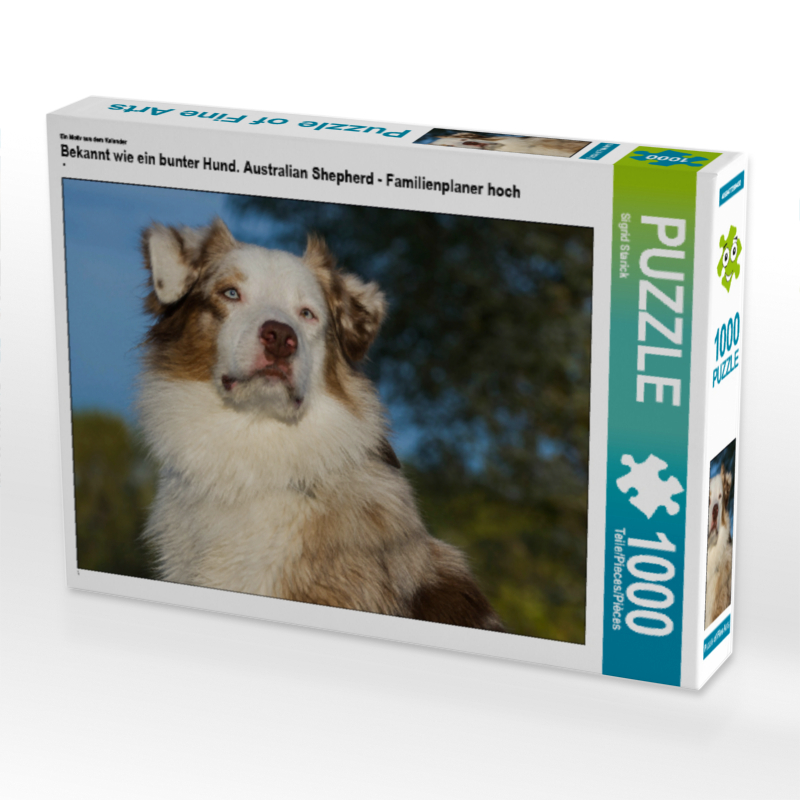 Ein Motiv aus dem Kalender Bekannt wie ein bunter Hund. Australian Shepherd - Familienplaner hoch