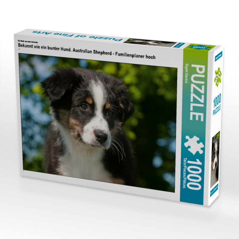 Ein Motiv aus dem Kalender Bekannt wie ein bunter Hund. Australian Shepherd - Familienplaner hoch