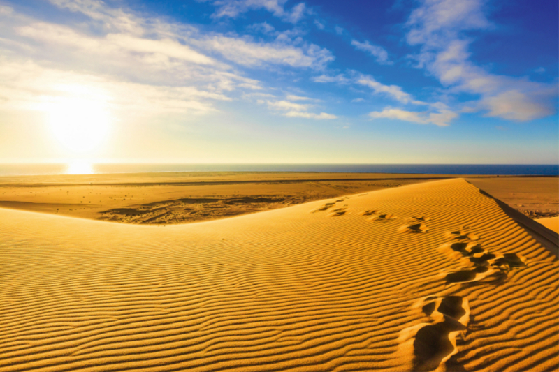 Fußspuren im Sand der Namib