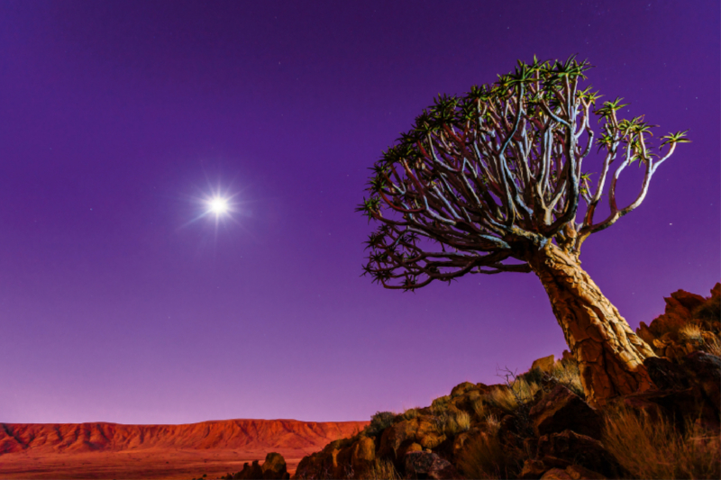 Ein Motiv aus dem Kalender Namibia - Der weite Süden