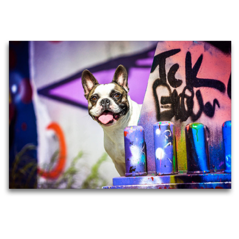 French Bulldog sitzt vor einer Graffitiwand