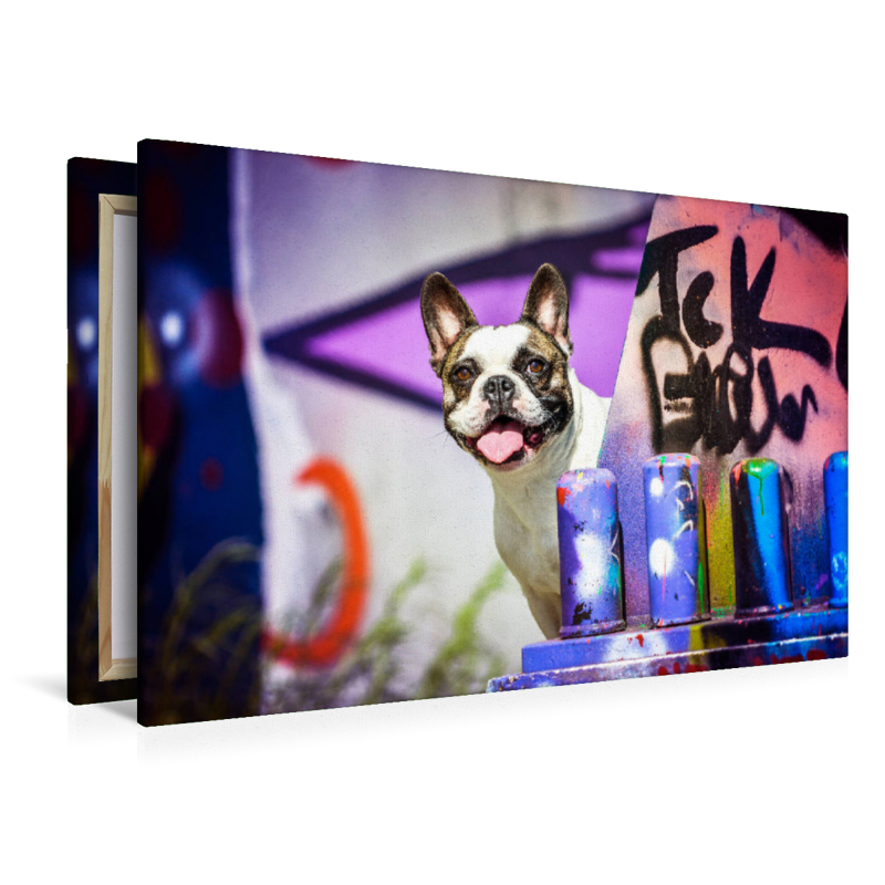 French Bulldog sitzt vor einer Graffitiwand