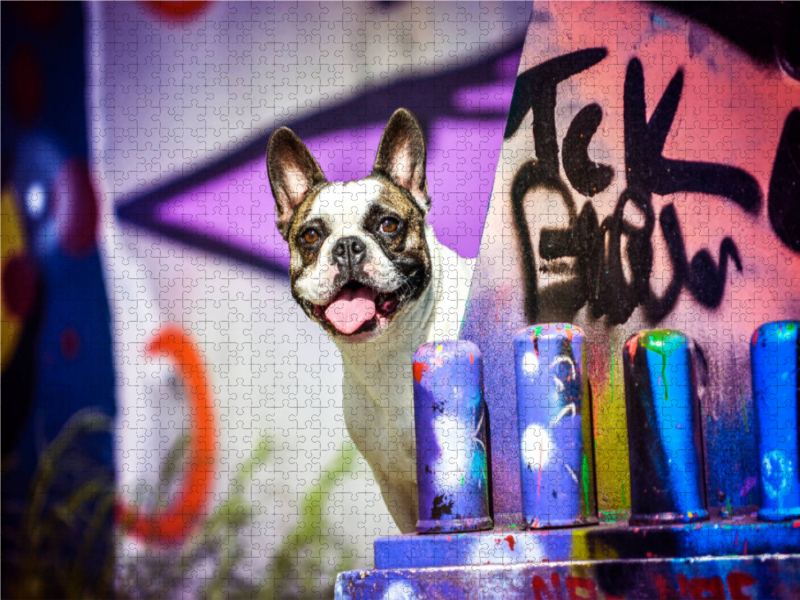 French Bulldog sitzt vor einer Graffitiwand