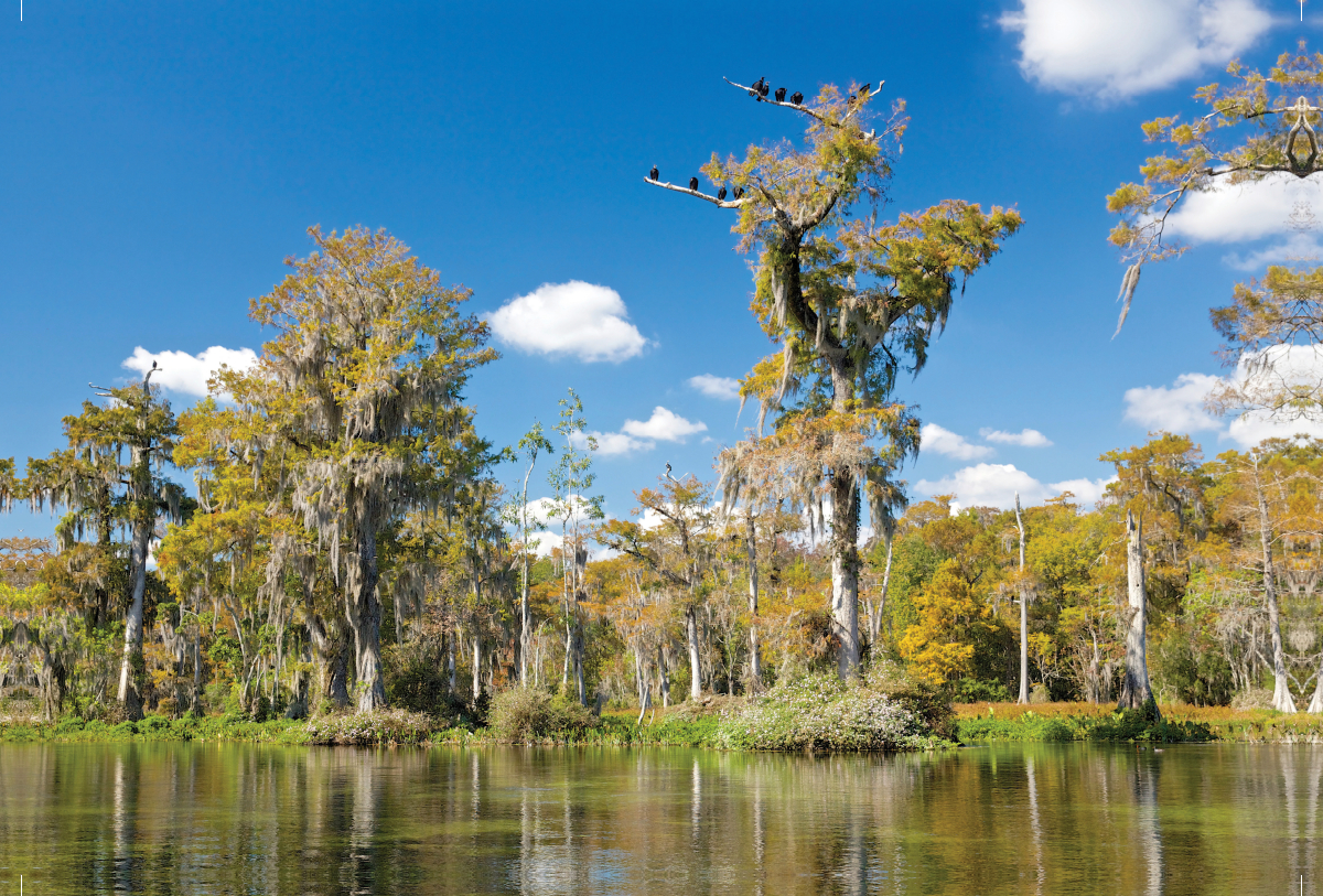 Walkulla Springs