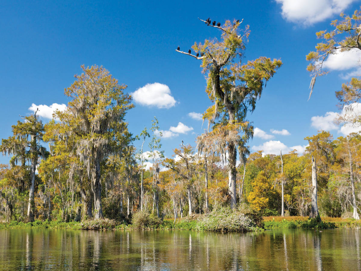 Walkulla Springs