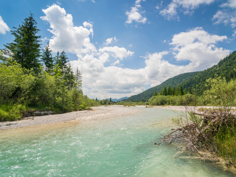 Sommer im Isartal