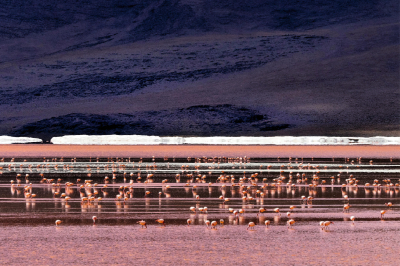 Laguna colorada