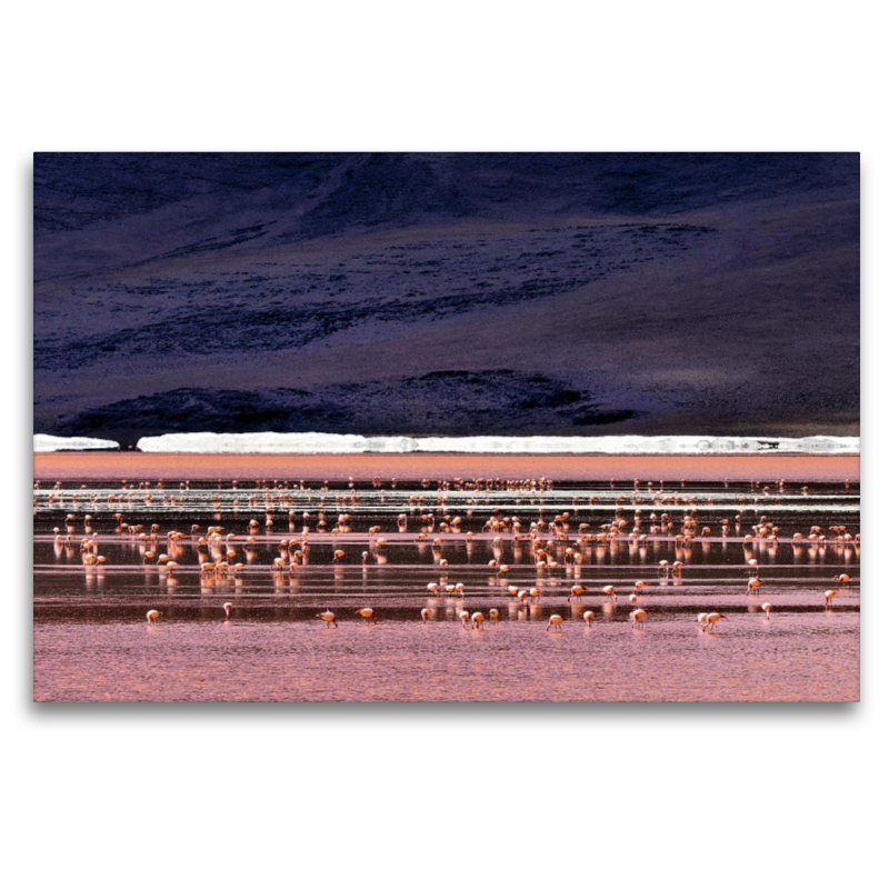 Laguna colorada