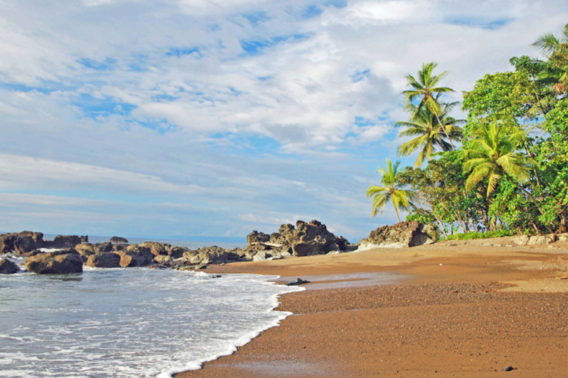 Palmenstrand im Corcovado Nationalpark in Costa Rica