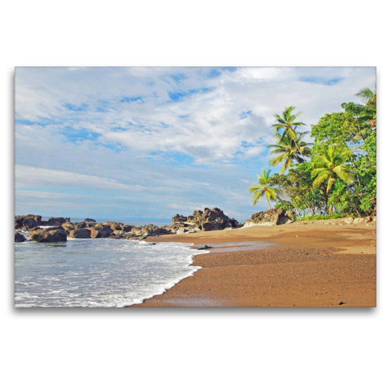 Palmenstrand im Corcovado Nationalpark in Costa Rica