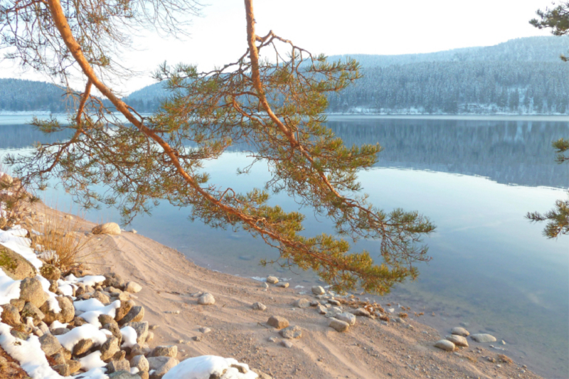 Stiller See mit kleinem Strand im Winter