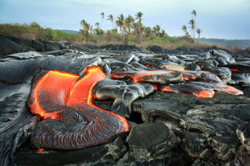 Lava und Kokospalmen