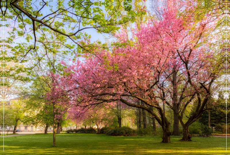 Frühling in Chemnitz