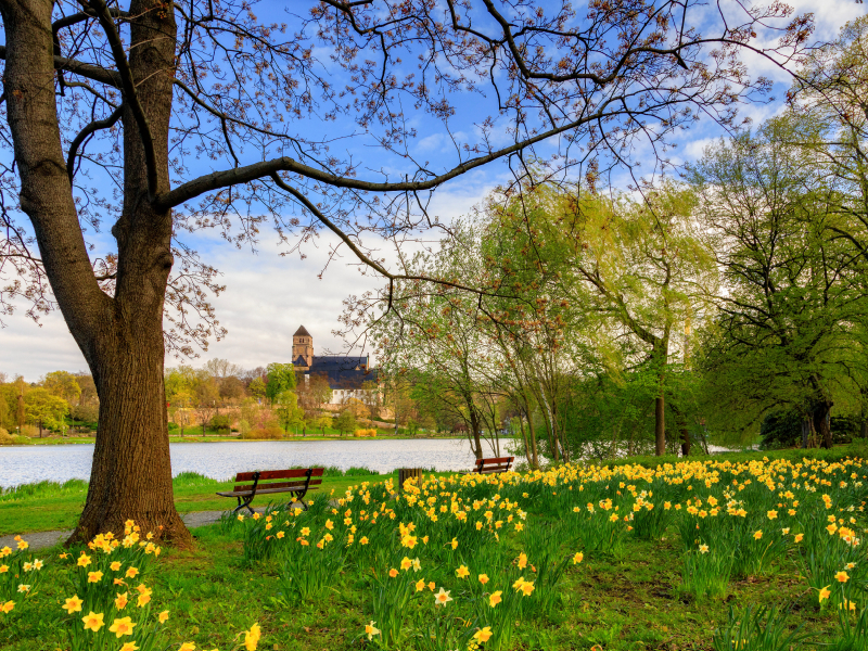 Frühling in Chemnitz