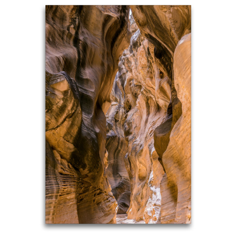 Willis Creek