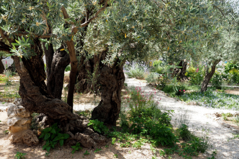 Gethsemane