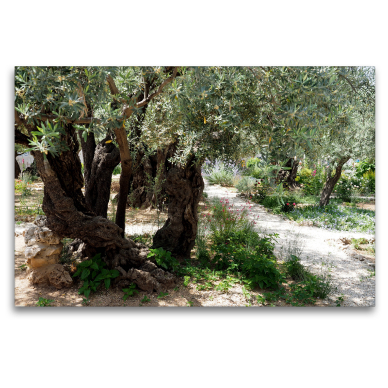 Gethsemane