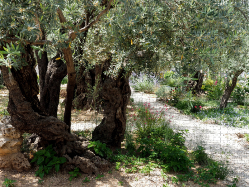 Gethsemane