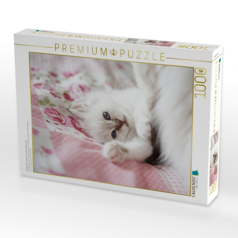 Heilige Birma Kitten, chocolate tabby point
