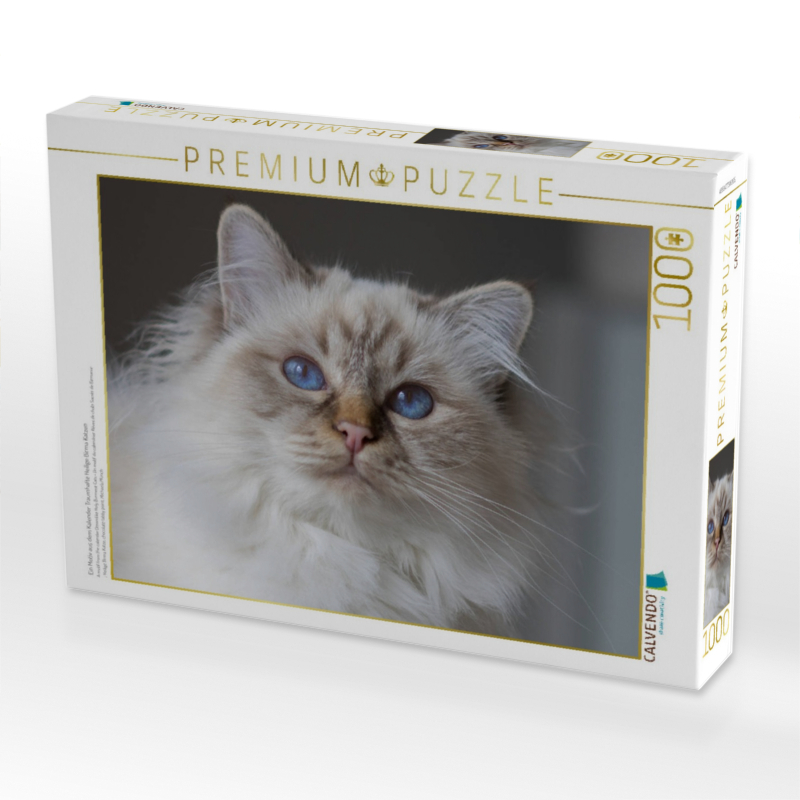 Ein Motiv aus dem Kalender Traumhafte Heilige Birma Katzen