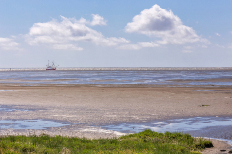 Krabbenkutter am Horizont