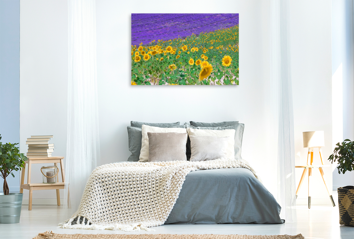 Sonnenblumen mit Lavendel