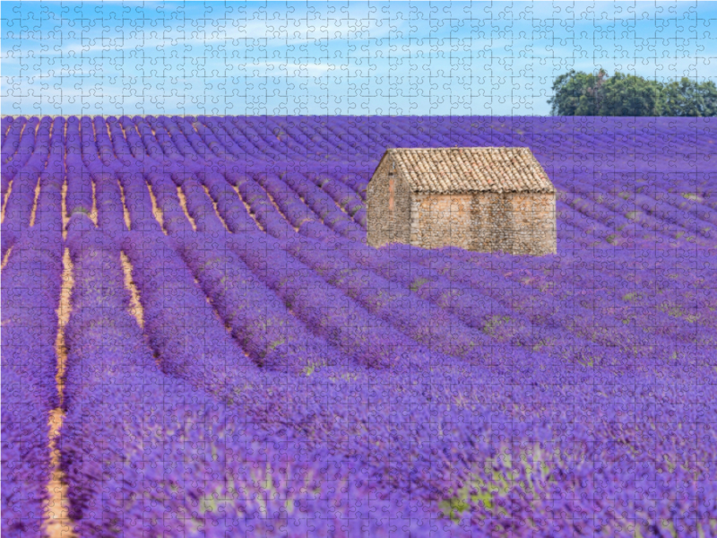 Ein Motiv aus dem Kalender Provence, Lavendelzeit in Südfrankreich