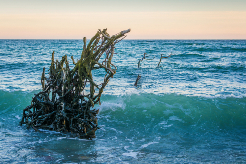 Ostsee auf Insel Rügen