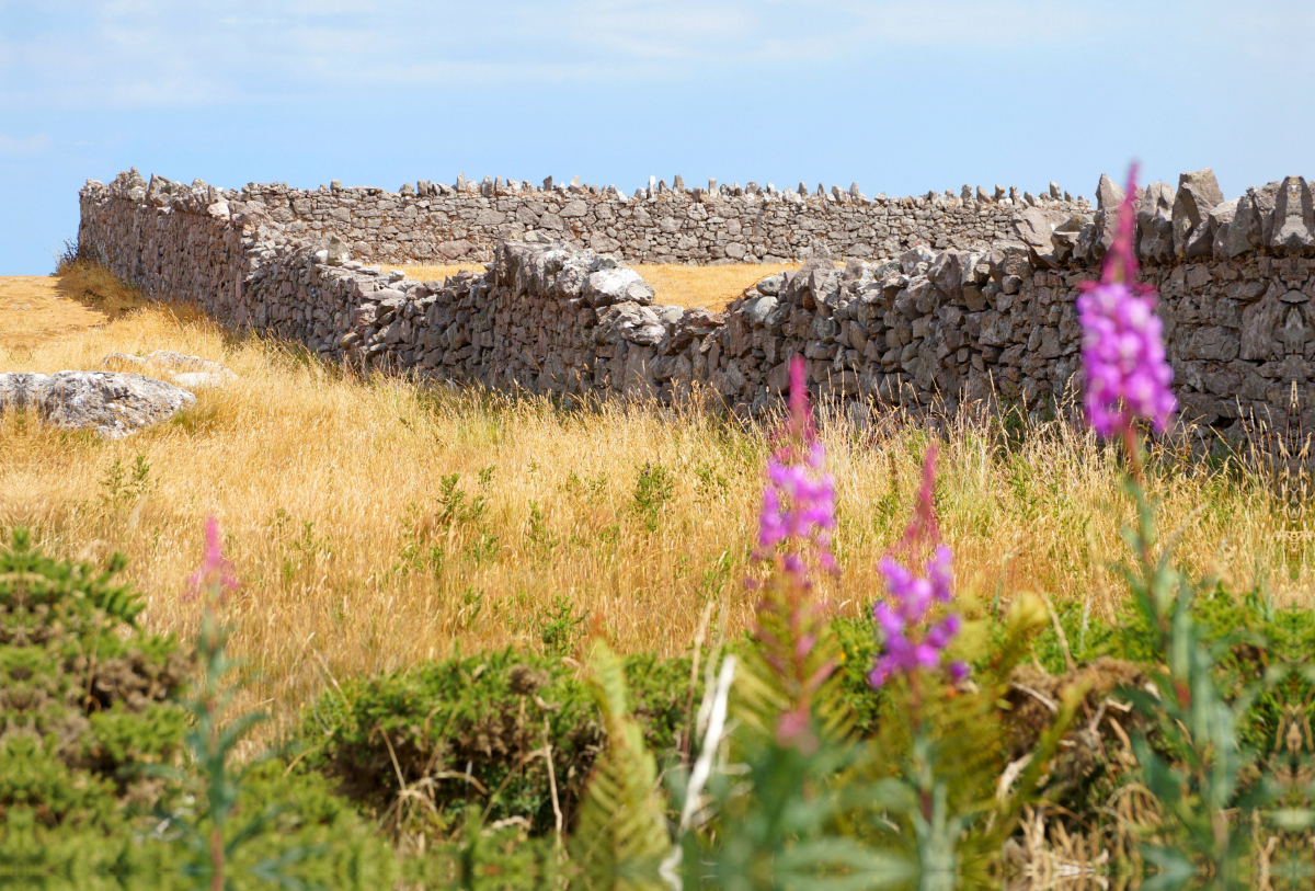 Trockenmauer in Wales