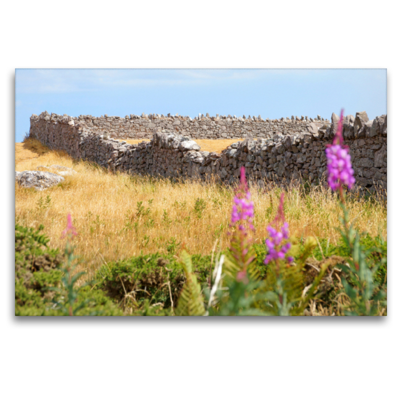 Trockenmauer in Wales