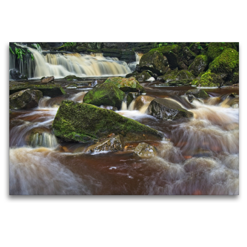 Mill Gill Foss