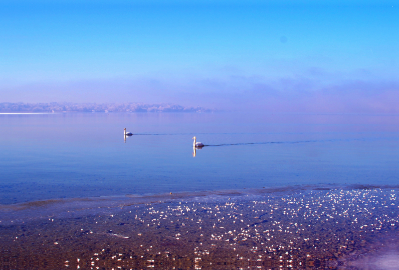 Winterzauber am Starnberger See