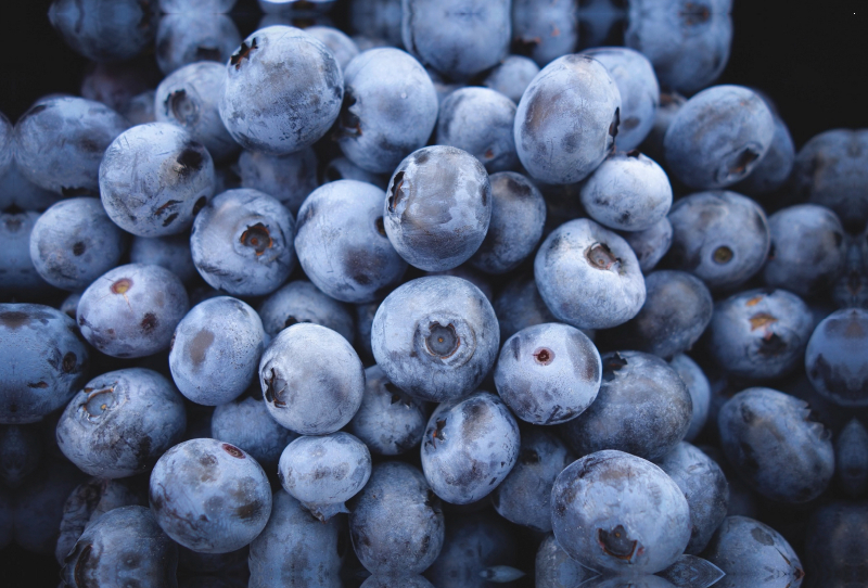 Heidelbeeren nach der Ernte