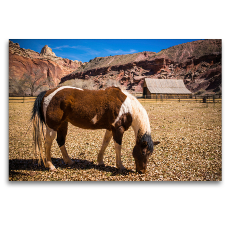 Capitol Reef NP